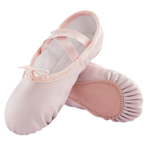 Elegance Ballet Flats